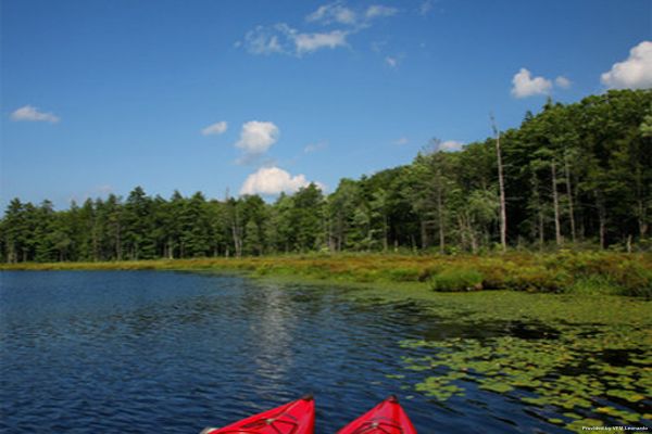 Hotel The Lodge at Woodloch (Hawley)